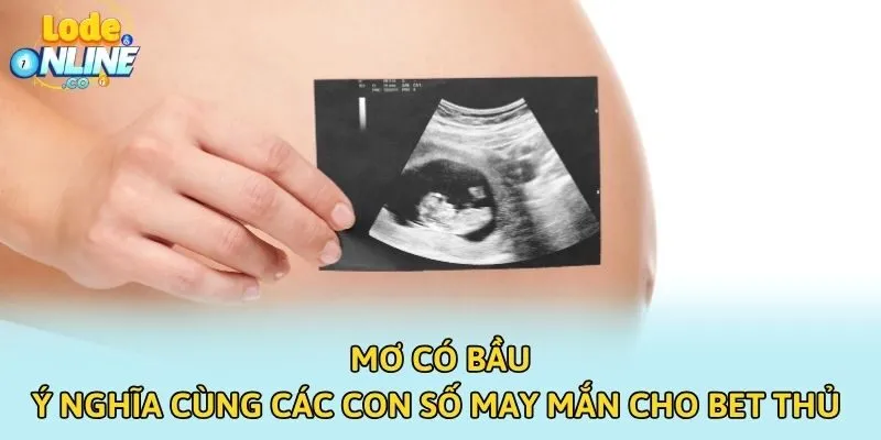 Mơ Có Bầu - Ý Nghĩa Cùng Các Con Số May Mắn Cho Bet Thủ